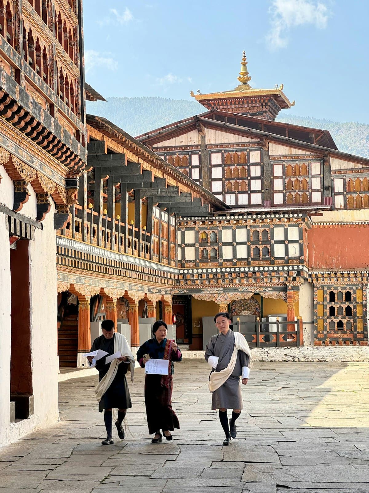 Drukgyel Dzong — view 2